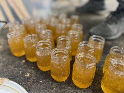 Honey Extraction: The First time